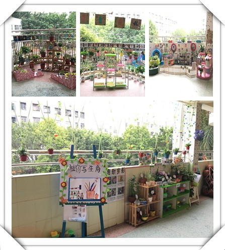 春暖花開，綠樹成蔭——遠(yuǎn)恒佳公明第二幼兒園自然觀察角大比拼