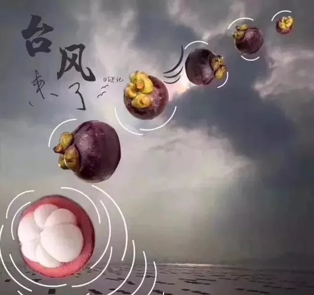 臺(tái)風(fēng)無(wú)情人有情，應(yīng)對(duì)臺(tái)風(fēng)“山竹”，我們團(tuán)結(jié)一心。